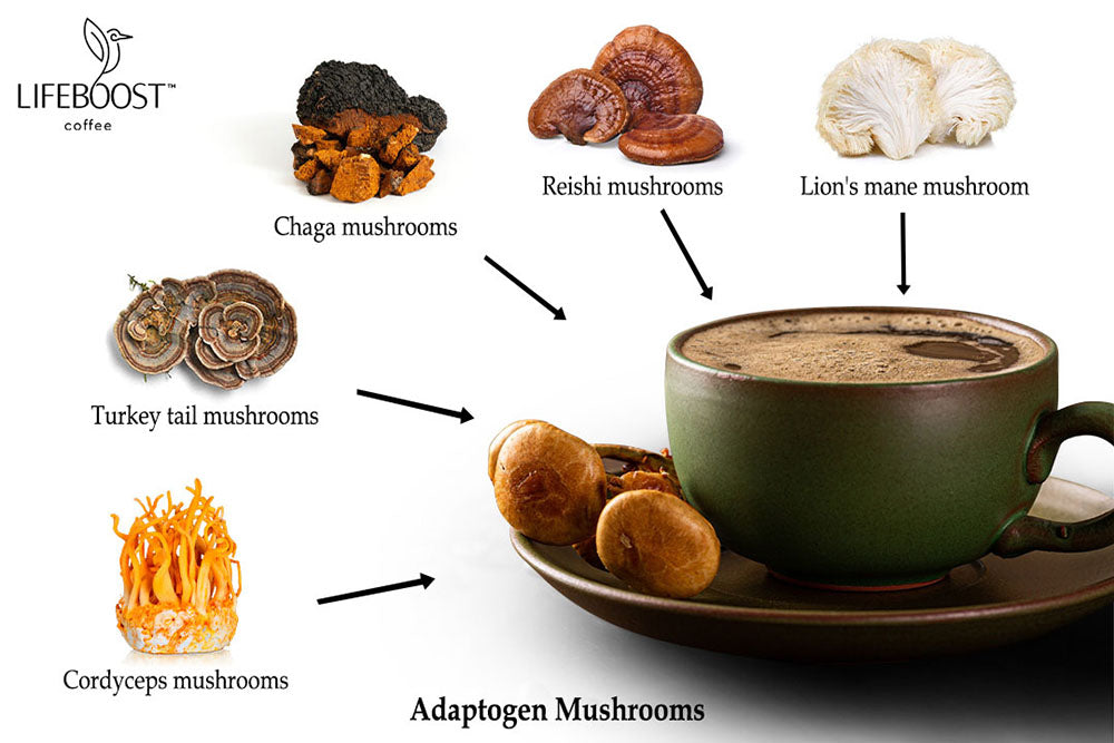 Exploring the Health Benefits of Mushroom Coffee