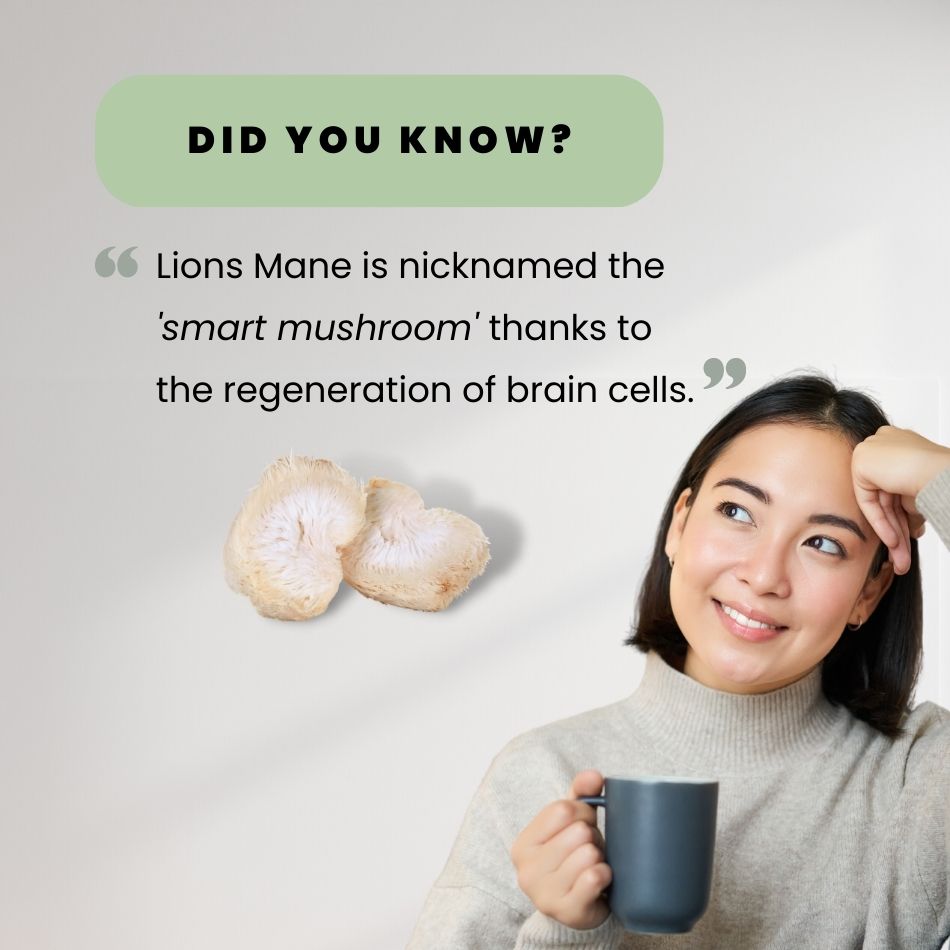 The Benefits of Lions Mane Mushroom Coffee