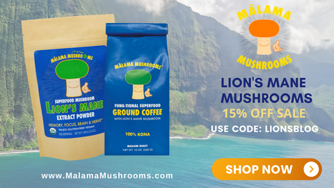 The Benefits of Lions Mane Mushroom Coffee
