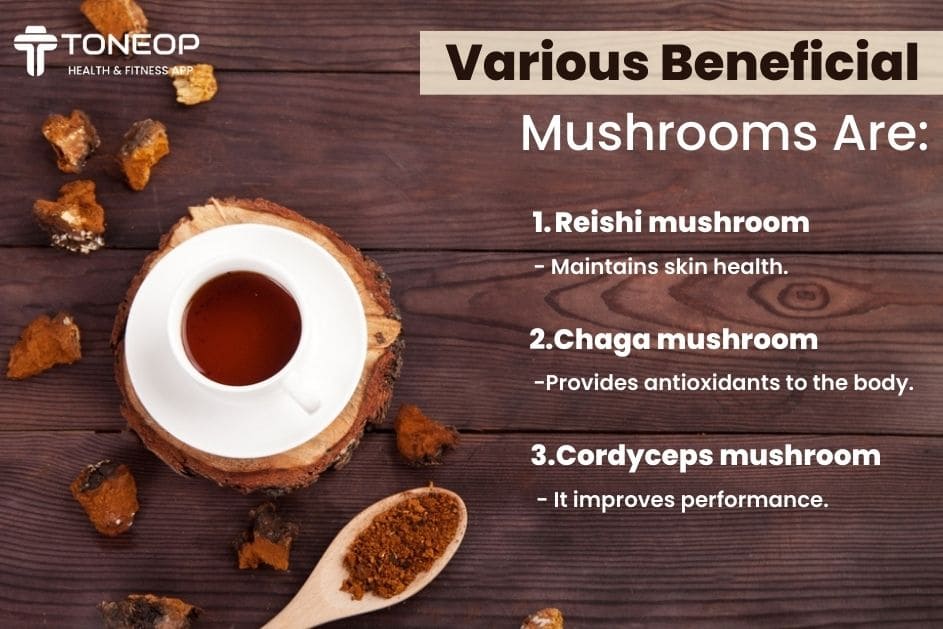 The Benefits of Mushroom Coffee for Athletes The Health Benefits of Mushroom Coffee for Athletes
