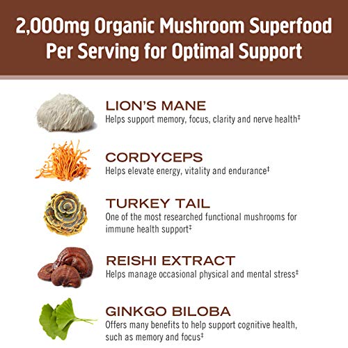 The Health Benefits of OM Mushroom Coffee