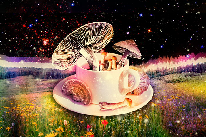 The Magic of Mushroom Coffee